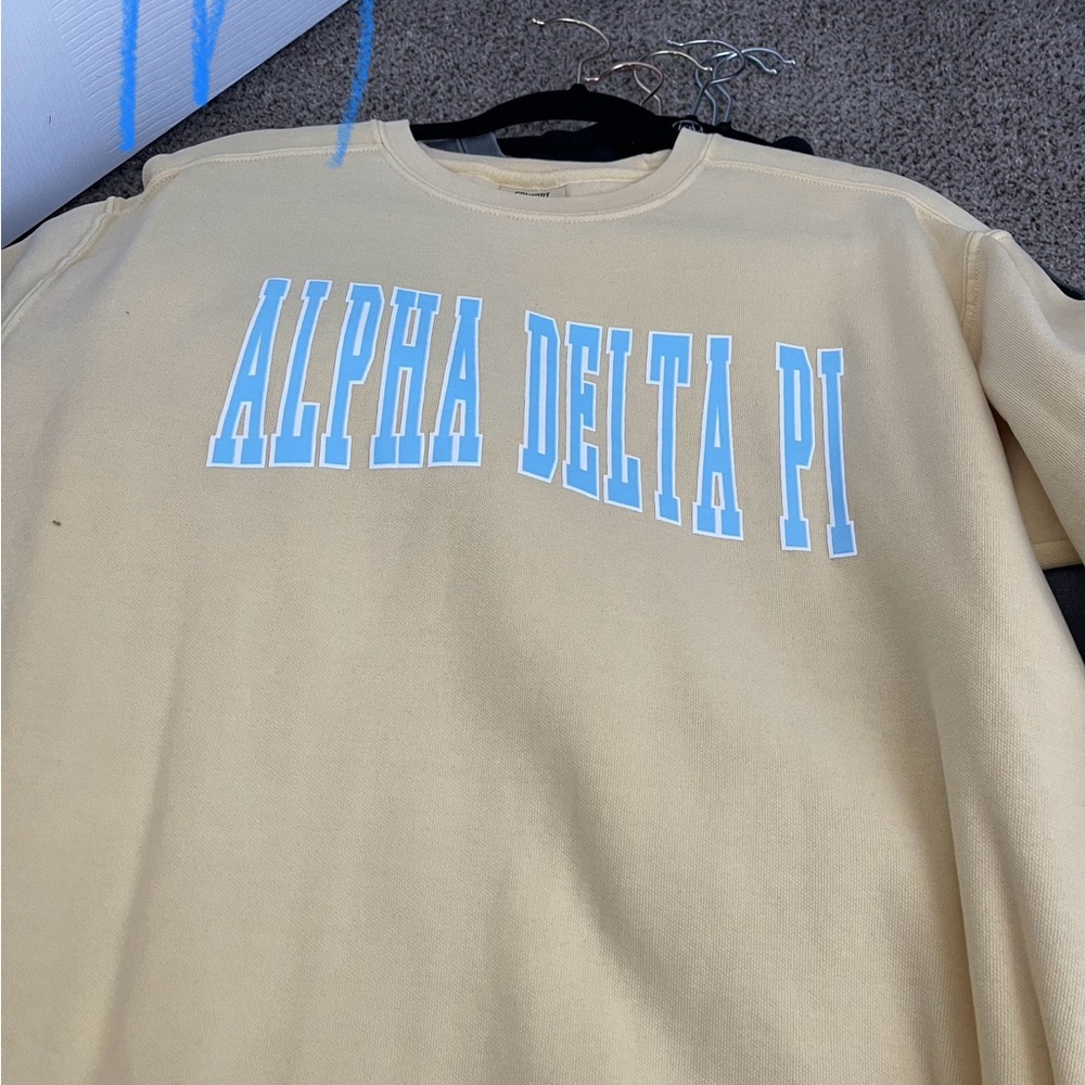 ADPI sweatshirt